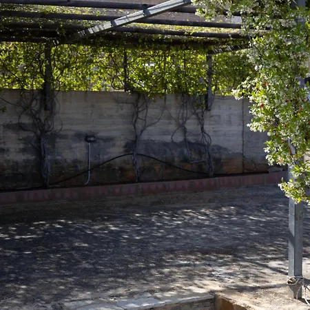 公寓 Instaview 托隆