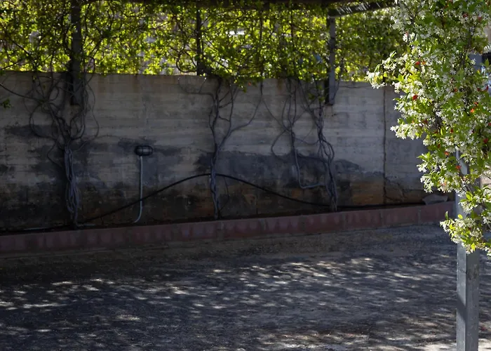 Apartament Instaview Tolón