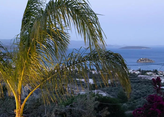 Apartament Instaview Tolón